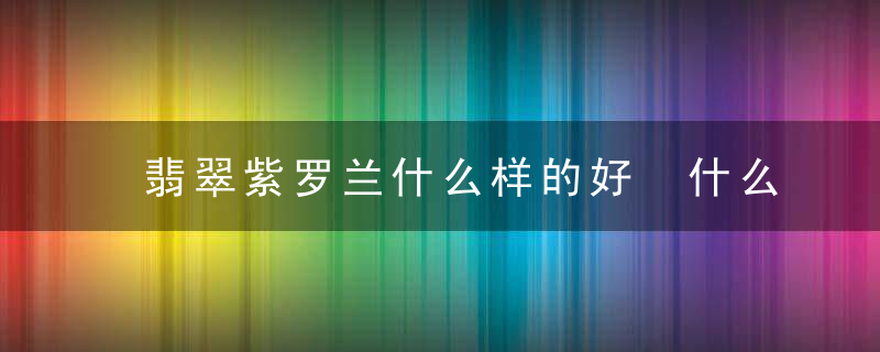 翡翠紫罗兰什么样的好 什么样的紫罗兰翡翠比较好